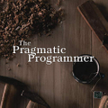 featured image thumbnail for post The Pragmatic Programmer